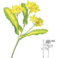 アルファ 菜の花ブッシュ SP1-0042ASK 30本（直送品）