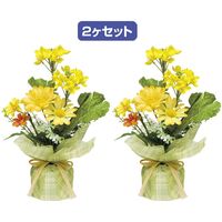 アルファ 菜の花ペアラッピングポット TE1-1348 1セット（直送品）