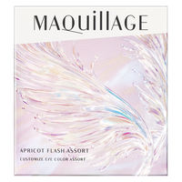 資生堂 【数量限定品】マキアージュ カスタマイズアイカラー アソート EX04 4909978274115 1個