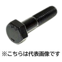 三笠・鋲螺 10.9六角ボルト 半ねじ M10×60 50本入 高強度ボルト 1100100042412 1箱(50本入)（直送品）