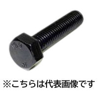 三笠・鋲螺 10.9六角ボルト 全ねじ M16×65 5本入 高強度ボルト 1100100043628 1セット(5本入)（直送品）