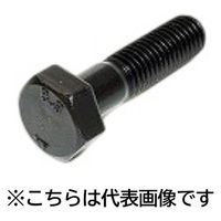 三笠・鋲螺 8.8六角ボルト 半ねじ M22×75 2本入 高強度ボルト 1100100043909 1セット(2本入)（直送品）