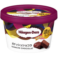 ハーゲンダッツ ジャパン [アイス] ミニカップ ガナッシュショコラ 110ml×12個 4976994207175 1セット(12個)（直送品）