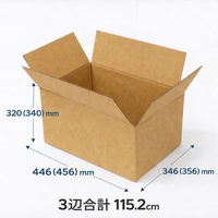 ノーブランド ダンボール SAO LC 10枚入 4525241100884 1セット(10枚入)（直送品）