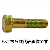 三笠・鋲螺 六角中ボルト 鉄クロメート 半ねじ M10×100 80本入 1100100041591 1箱(80本入)（直送品）