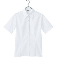 チクマ ブラウス（半袖） AR1632-1-13（直送品）