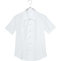 チクマ ブラウス（半袖） AR1654-1-15（直送品）