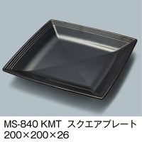 三信化工 スクエアプレート 黒マット MS-840-KMT 1セット（5個入）（直送品）
