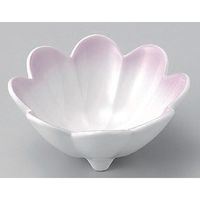 アースモス 美濃焼 小鉢 紫吹菊割小鉢 （2個入）（直送品）