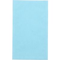 石崎商事 PBM-A19 パレットバッグ ライトブルー  008705812 1セット(50枚入×50パック 合計 2500枚)（直送品）