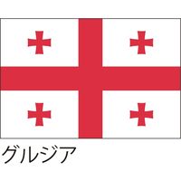 【世界の国旗】服部 応援・装飾用旗 グルジア 135×90cm ポンジ 1枚（直送品）
