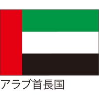 【世界の国旗】服部 応援・装飾用旗 アラブ首長国 105×70cm ポンジ 1枚（直送品）