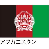 【世界の国旗】服部 応援・装飾用旗 アフガニスタン 105×70cm ポンジ 1枚（直送品）