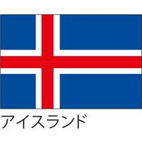 【世界の国旗】服部 応援・装飾用旗 アイスランド 135×90cm ポンジ 1枚（直送品）