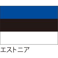 【世界の国旗】服部 応援・装飾用旗 エストニア 105×70cm ポンジ 1枚（直送品）