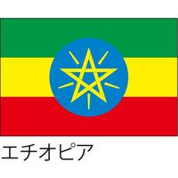 【世界の国旗】服部 応援・装飾用旗 エチオピア 135×90cm ポンジ 1枚（直送品）