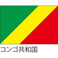 【世界の国旗】服部 応援・装飾用旗 コンゴ共和国 105×70cm ポンジ 1枚（直送品）