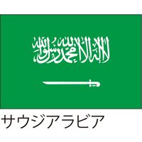 【世界の国旗】服部 応援・装飾用旗 サウジアラビア 105×70cm ポンジ 1枚（直送品）