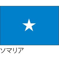 【世界の国旗】服部 応援・装飾用旗 ソマリア 135×90cm ポンジ 1枚（直送品）