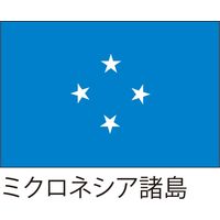 【世界の国旗】服部 応援・装飾用旗 135×90cm ポンジ-1