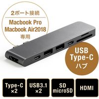 サンワダイレクト MacBook Pro 専用USB Type-Cハブ 400-ADR320GPD 1個（直送品）