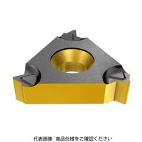 イスカル TAチップ 16ER14BSPTIC908(5901973 16ER14BSPTIC908 1セット(10個)（直送品）