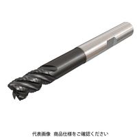 イスカル ソリッドEM ECR