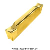 イスカル TAチップ DCEN2002JIC5400 1セット(10個)（直送品）