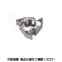 イスカル TAチップ 22IRMN