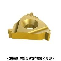 イスカル TAチップ 22UIRL4ACMEIC08 1セット(5個)（直送品）