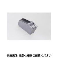 イスカル TAチップ GFN3BIC54 1セット(10個)（直送品）