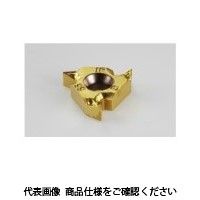 イスカル TAチップ 16IRMG55IC908(5902386 16IRMG55IC908 1セット(5個)（直送品）