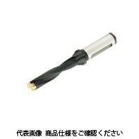 イスカル カムドリル DCM095ー047ー12Aー5D(3200649 DCM095-047-12A-5D 1本（直送品）