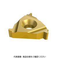 イスカル TAチップ 16IR12ACMEIC908(5902377 16IR12ACMEIC908 1セット(10個)（直送品）