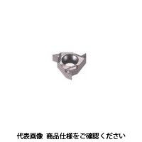 イスカル TAチップ 08IRMA60IC808(5903377 08IRMA60IC808 1セット(10個)（直送品）