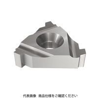 イスカル TAチップ 22IR5BUT0.75IC908(5995351 22IR5BUT0.75IC908 1セット(10個)（直送品）