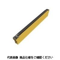 イスカル TAチップ DGL3002Cー6DーXLIC830 1セット(10個)（直送品）