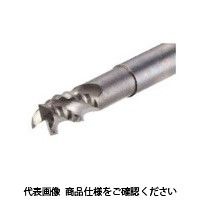 イスカル ソリッドEM ECRーB312ー14/55W12R02A100 ECR-B312-14/55W12R02A100 1本（直送品）