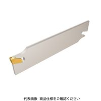 イスカル SGブレード SGFH19ー1.2(2301237 SGFH19-1.2 1枚（直送品）