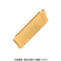 イスカル TAチップ DGN1500PIC508(6002938 DGN1500PIC508 1セット(20個)（直送品）
