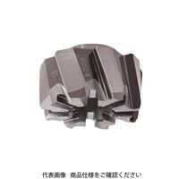 イスカル TAチップ RMーBN7ー17.000ーH7LBIC08 1個（直送品）