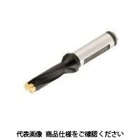 イスカル カムドリル DCM250ー075ー25Aー3D(3200678 DCM250-075-25A-3D 1本（直送品）