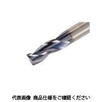 イスカル ソリッドエンドミル EC025E07ー3C03IC900(5620707 EC025E07-3C03IC900 1本（直送品）