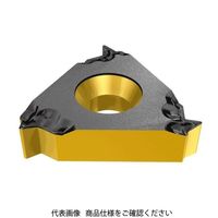 イスカル TAチップ 11IR14WIC908(5901930 11IR14WIC908 1セット(10個)（直送品）