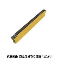 イスカル TAチップ DGL2002Jー6DーXLIC830 1セット(10個)（直送品）