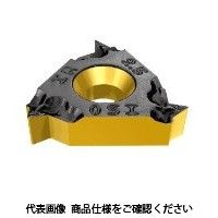 イスカル TAチップ 16IRM12UNIC1007 1セット(5個)（直送品）