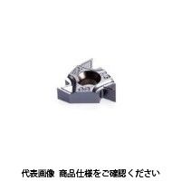 イスカル TAチップ 16ERMAG60IC908(5901519 16ERMAG60IC908 1セット(5個)（直送品）