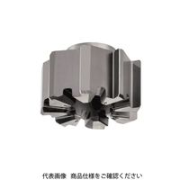 イスカル TAチップ RMーBN8ー24.000ーH7SAIC08 1個（直送品）