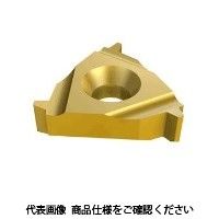 イスカル TAチップ 16IR10STACMEIC908 1セット(5個)（直送品）