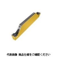 イスカル TAチップ HFPN2002IC808 1セット(10個)（直送品）